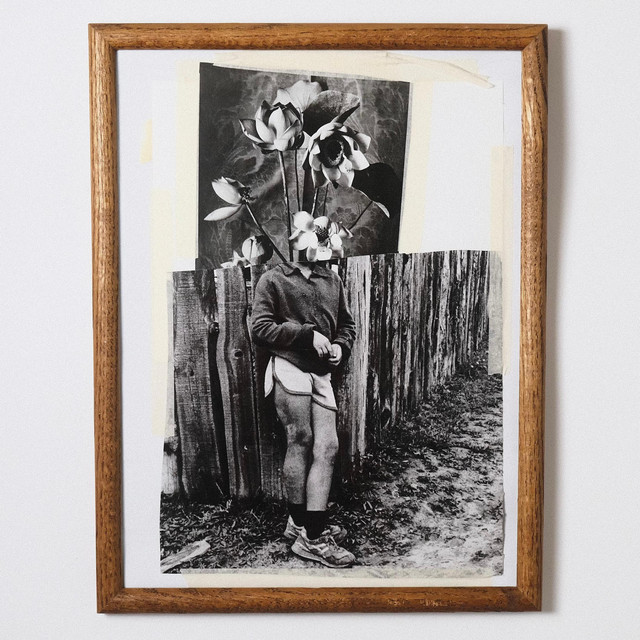 Orchard cover art
