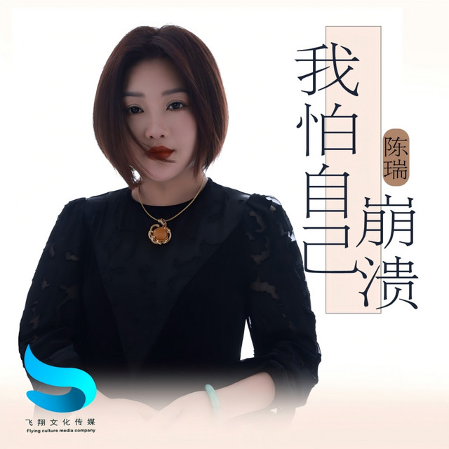 我怕自己崩溃 cover