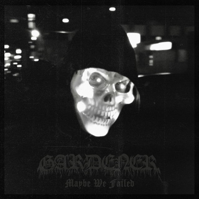 Maybe We Failed cover art
