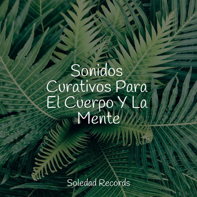 Sonidos Curativos Para El Cuerpo Y La Mente