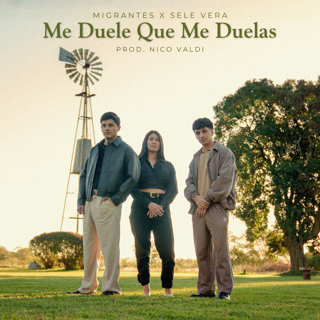 Me Duele Que Me Duelas cover art