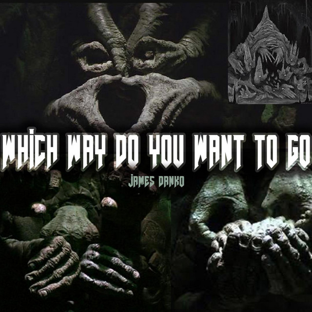 Which Way Do You Want To Go? cover art