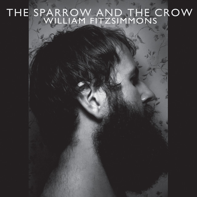 I Don't Feel It Anymore (Song Of The Sparrow)