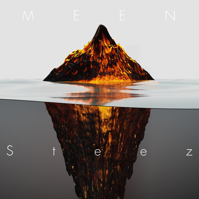 Steez cover art