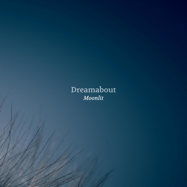 Moonlit cover art
