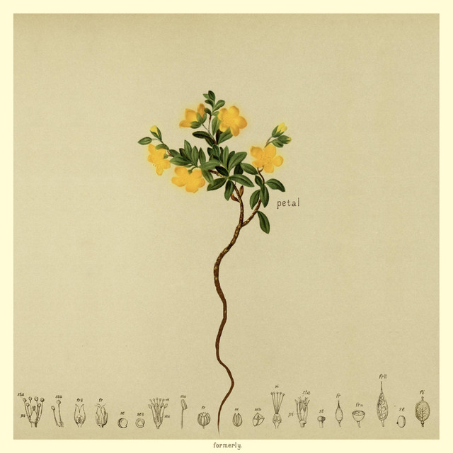 Petal cover art