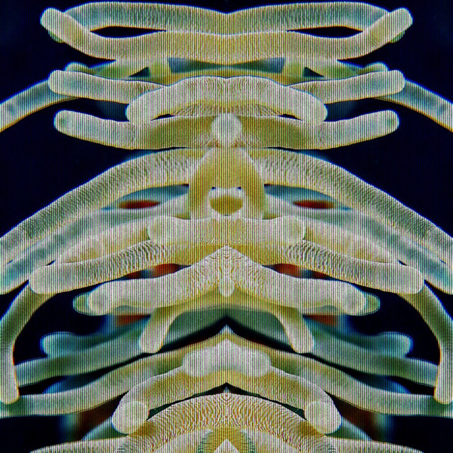 Coral de oro cover art