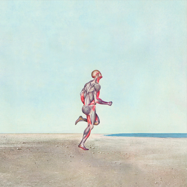 Weird Wild World cover art