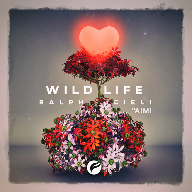 Wild Life (feat. Aimi) cover