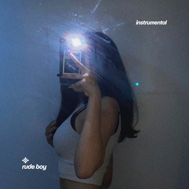 rude boy - instrumental cover art