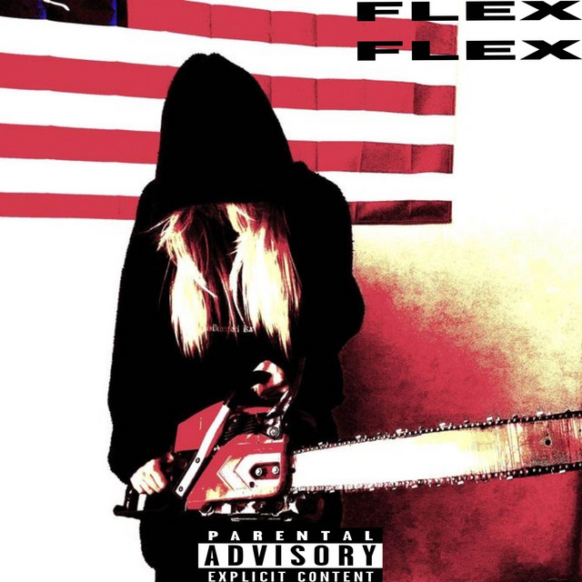FLEXFLEX cover art