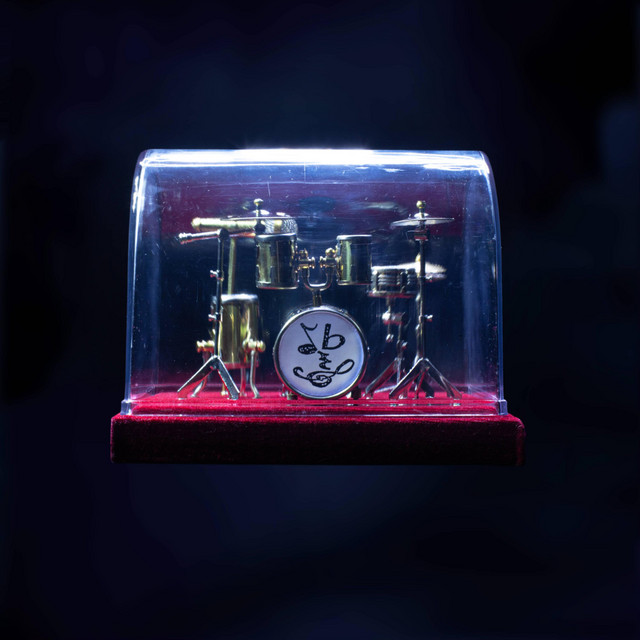 Display Case cover art