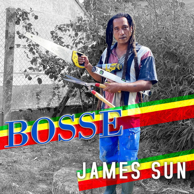 Cover du titre Bosse