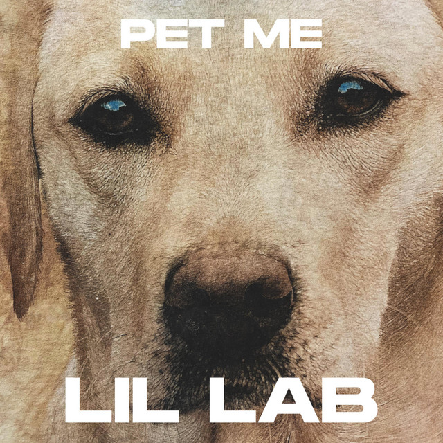 Lil Lab | Spotify