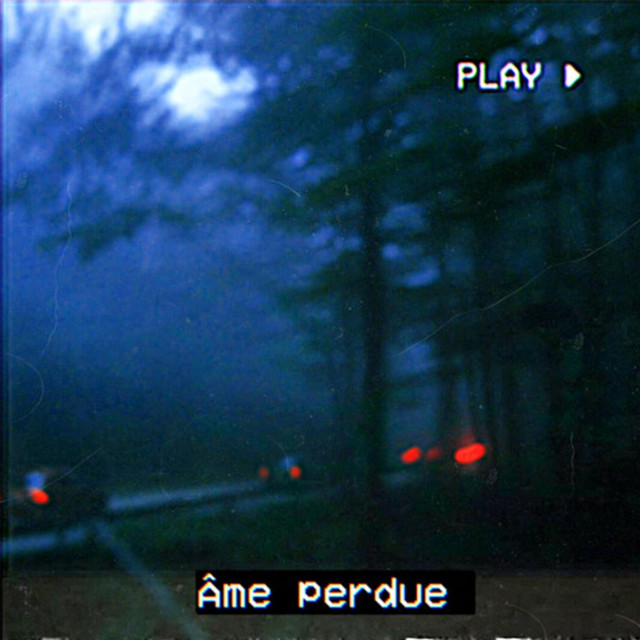 Обкладинка: Âme perdue. — Willix