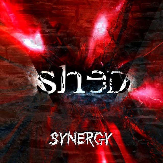 Synergy cover art