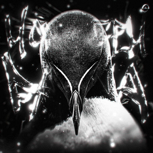 Обкладинка DARKANASE — MONTAGEM GUARDIAN