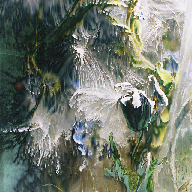 Fungus & Ecdysis cover art