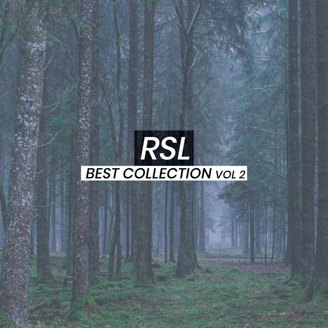 Best Collection, Vol. 2 cover art