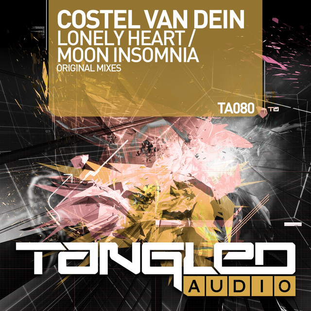 Обкладинка: Moon Insomnia — Costel Van Dein