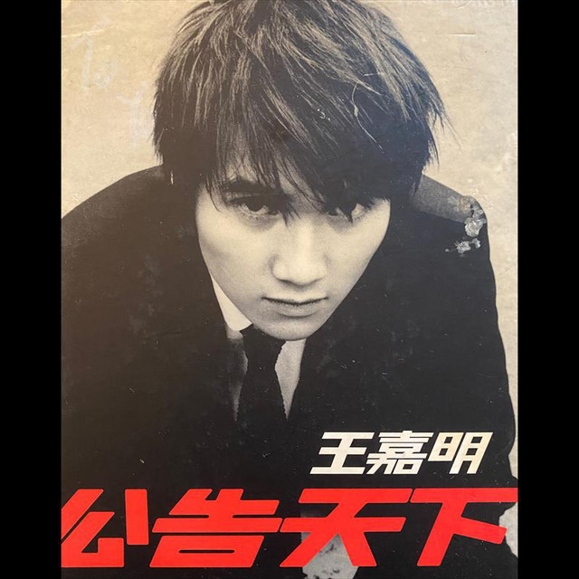 公告天下 (Remix)