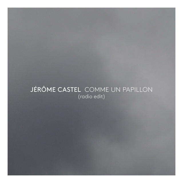 Pochette du titre Comme un Papillon
