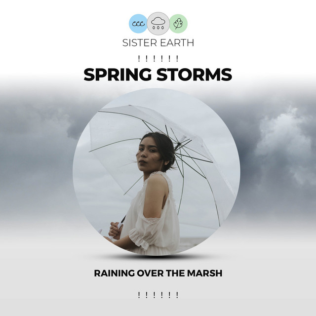 Spring Storms Raining Over the Marsh ! ! ! ! ! ! - Album by Rain Sounds ...