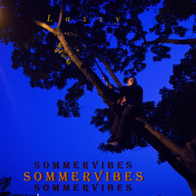 Sommer Vibes cover art