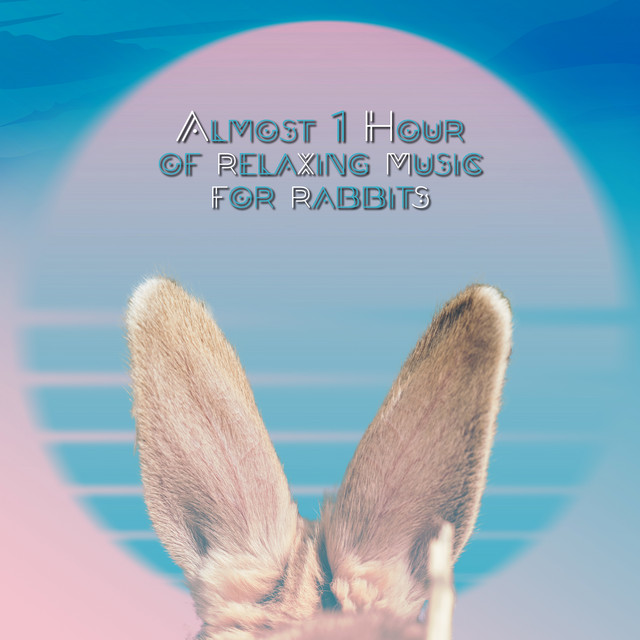Almost 1 Hour of Relaxing Music for Rabbits (Nature Sounds for Rabbits ...