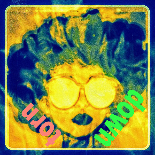 TORN DOWN cover art