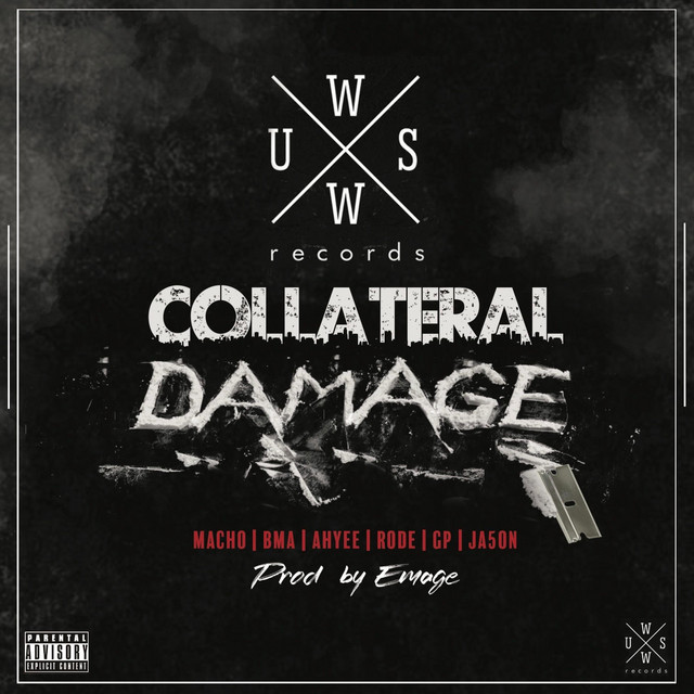 Wwus: Collateral Damage cover art