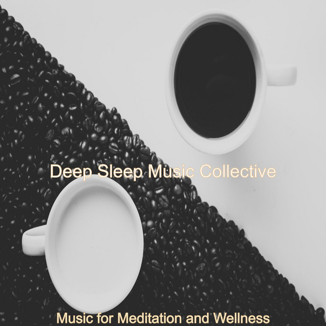 Music for Meditation and Wellness - Album by Deep Sleep Music ...