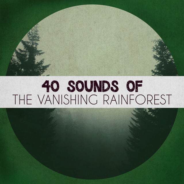 40Sounds of the Vanishing Rainforest - Album by The Rainforest ...