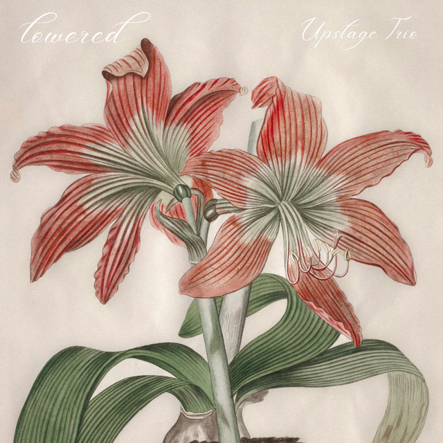 lowered cover