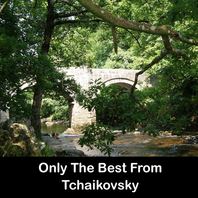 Only The Best From Tchaikovsky cover art
