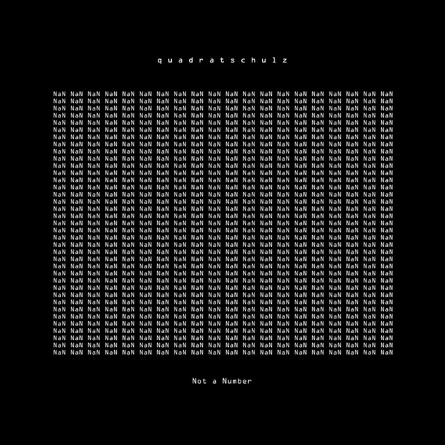 Not a Number cover art