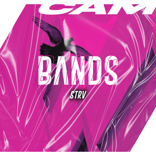 BANDS cover art