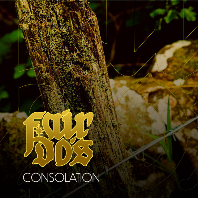 Consolation cover art