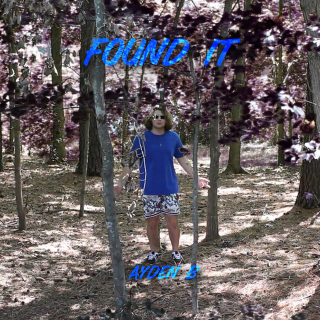 FOUND IT cover art