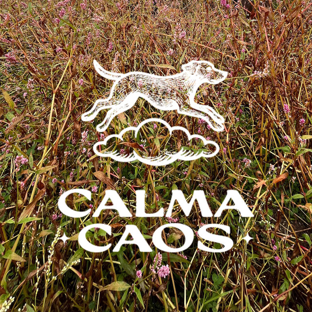 Caos