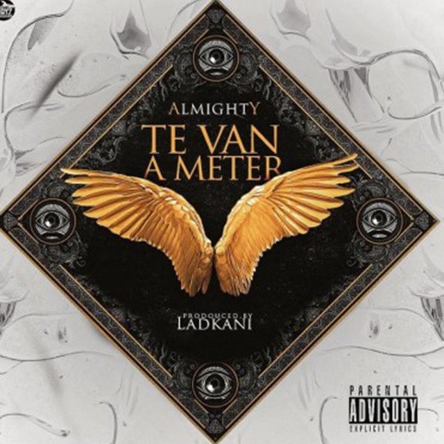 Te Van a Meter cover art