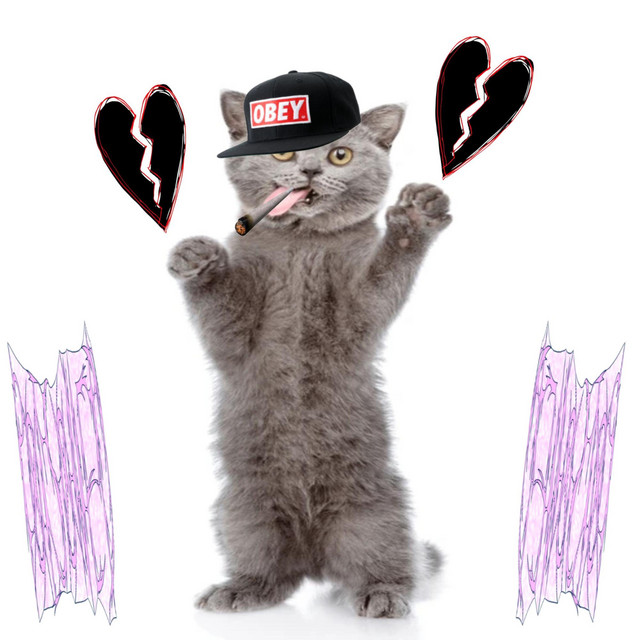 crazy boy with a heart for one