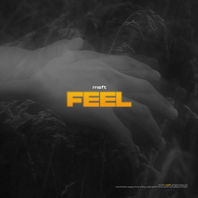 Feel cover art
