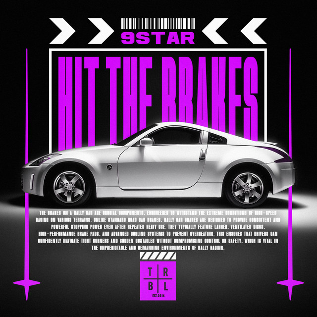 Cover art: hit the brakes (slowed) — 9STAR