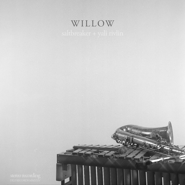 Willow cover art