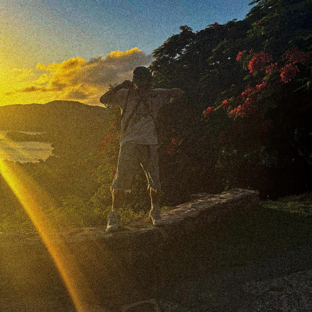 NEW LAND cover art