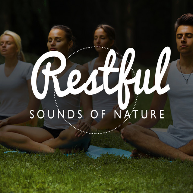 Restful Sounds of Nature cover art