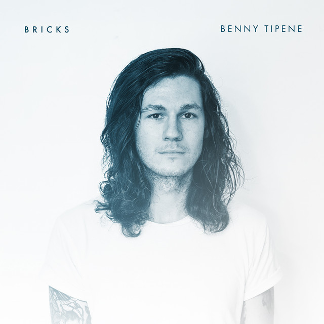 Bricks cover art