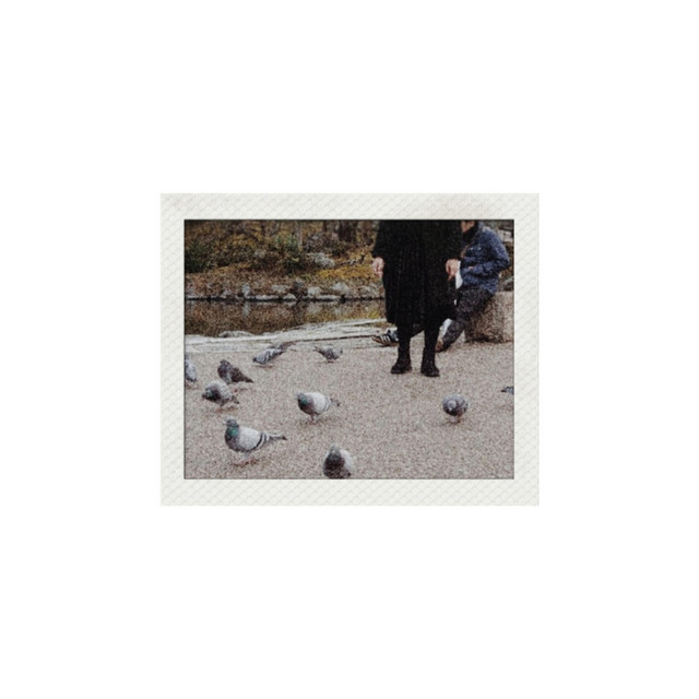 A Day We Turn to This World (We Are Going Home) (single)