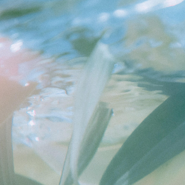 Blue Is the Morning cover art
